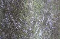 Oxcroft Estate fibreglass roof work